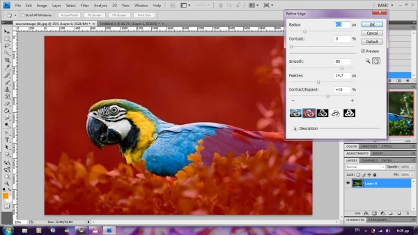 Creation of parrot painting [updated]: Step 2